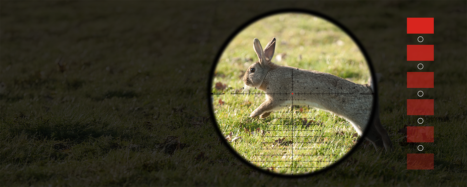 Iluminación de 6 niveles