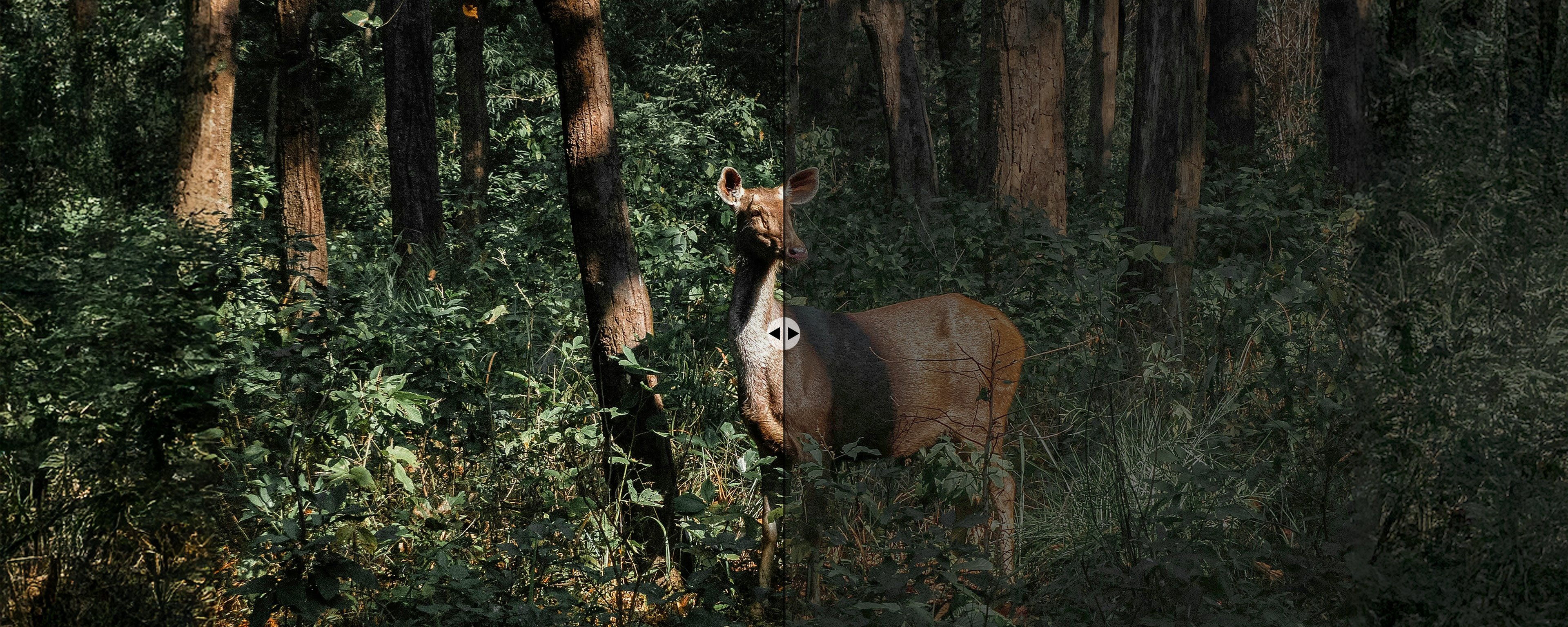 Transmisión de luz del 90 %